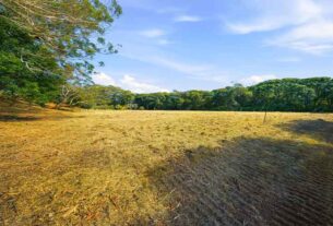 ADVERTORIAL: Vacant land, Boat Harbour
