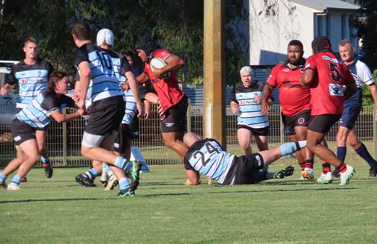 Nelson Bay Gropers edge out Singleton Bulls in Hunter Suburban Rugby final