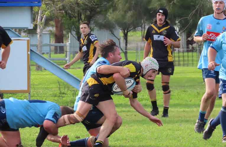 Medowie Marauders roll Singleton Bulls in tune-up for rugby finals