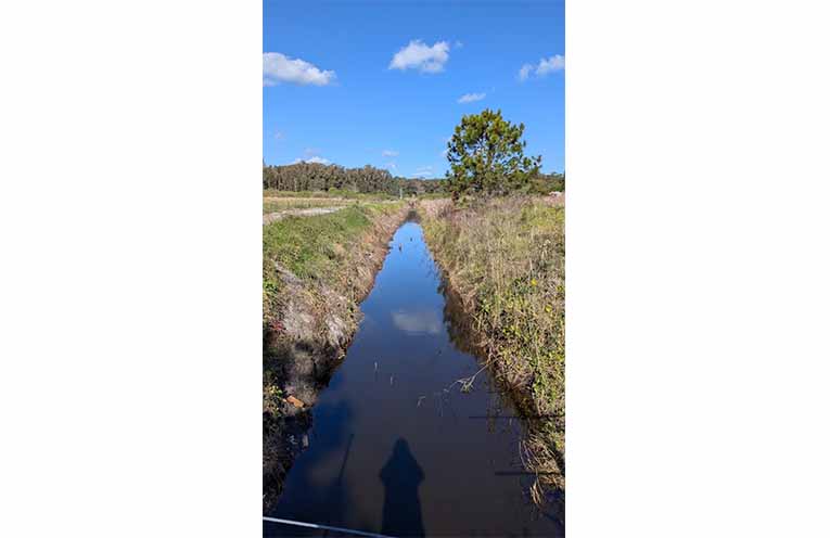 The waterway after the Frogbit infestation was removed. Photo: Port Stephens Council.