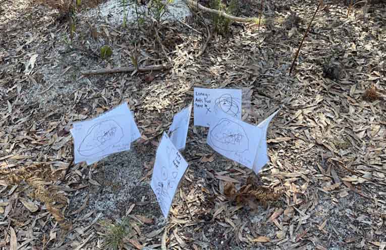 The Mambo-Wanda wetlands provide a space to teach children about the natural world. Image from Iain Watt’s public access to Port Stephens Council on 11 August 2026.