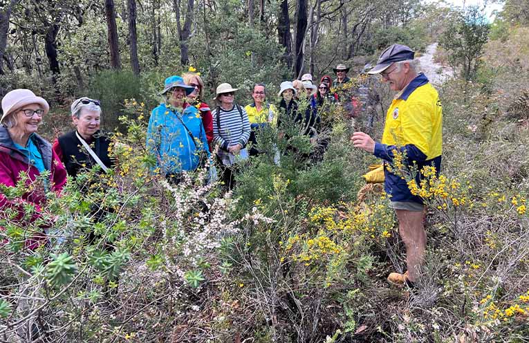 Winter wildflowers steal the show across Tomaree Peninsula