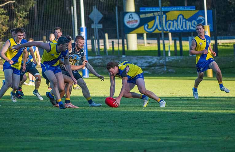 Blackburne celebrates milestone with three goals for Marlins in AFL win