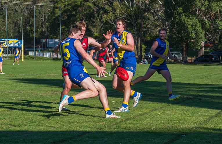 Nelson Bay Marlins still set for AFL finals after loss to Terrigal-Avoca Panthers