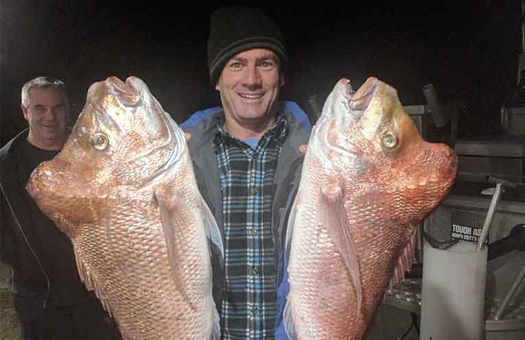STINKER: Secret of snapper bumps on the head