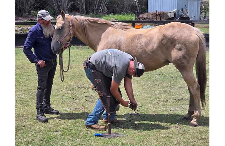 CHARITY_HORSE HAVEN_170926_ROC_1