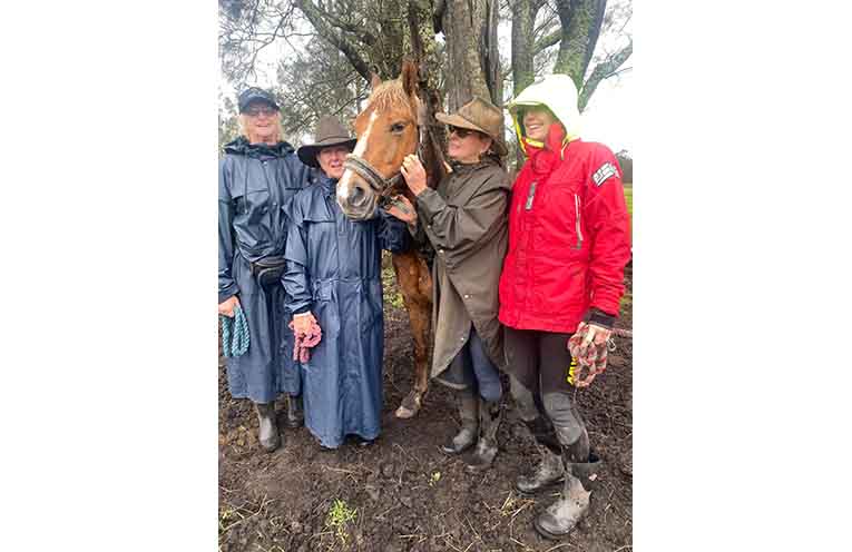 CHARITY_HORSE HAVEN_170926_ROC_7