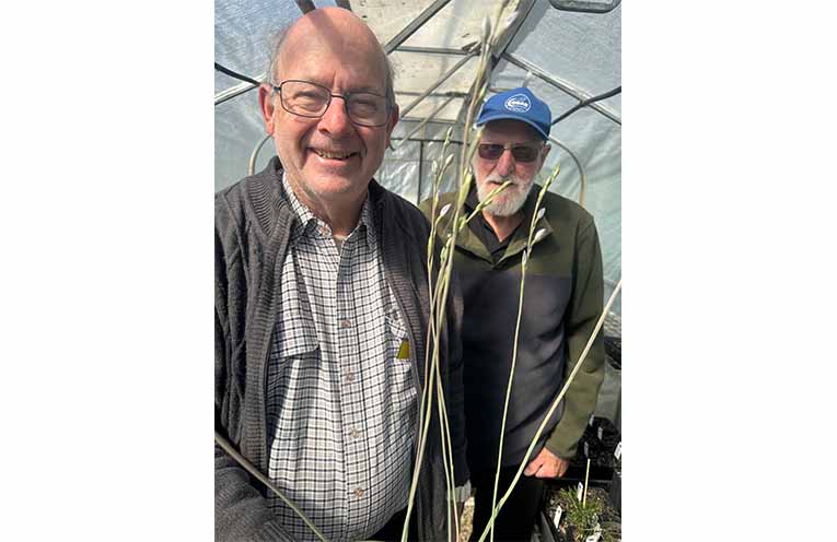 Volunteer Peter Dowling and Kevin Stokes, Deputy Chairman of the Board, with the Wyong sun orchid. Photo: Althea Guinsberg.