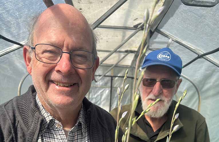 Hunter Region Botanic Gardens volunteers help protect the endangered Wyong sun orchid