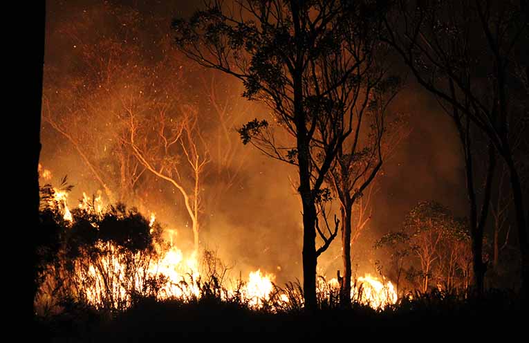 The fire nears to Medowie Road. Photo: Ruby van de Wijgaart.