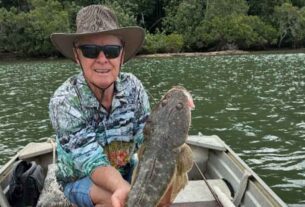 STINKER: The changing face of the Tweed River