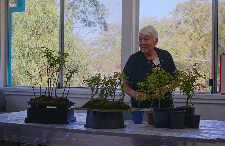 Bonsai expert Melanie Delaney showed exhibition patrons how to create a bonsai composition. Photo: Nico Lombardo.