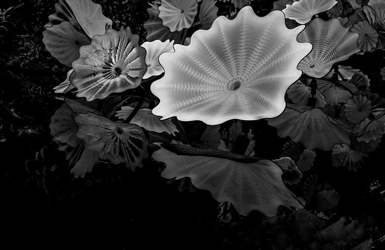 ‘Glass Flower Reflection Pool’ by Robyn Drayton.