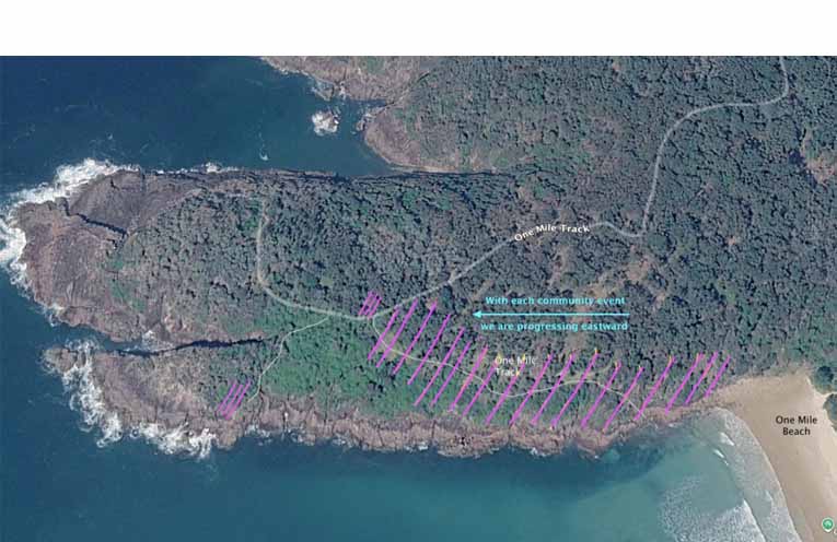 Hatched area shows progress in removing invasive weeds at One Mile Headland since July 2024. (Map supplied by Friends Of Tomaree National Park.)