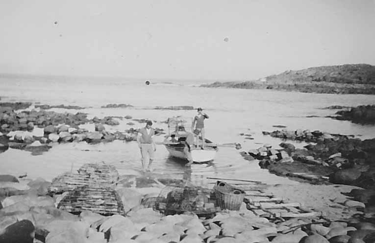 STINKER: Fishing – Changing price and availability of lobster