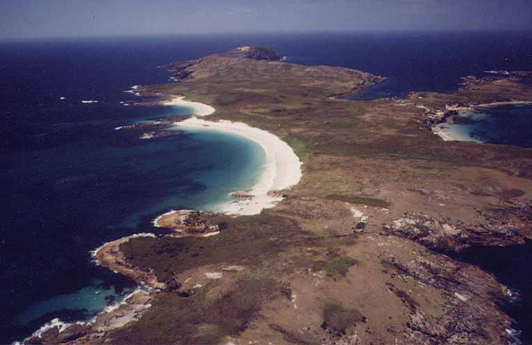 STINKER: History – North Harbour; home to Greek fishermen